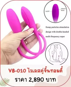 vibrator VB-010